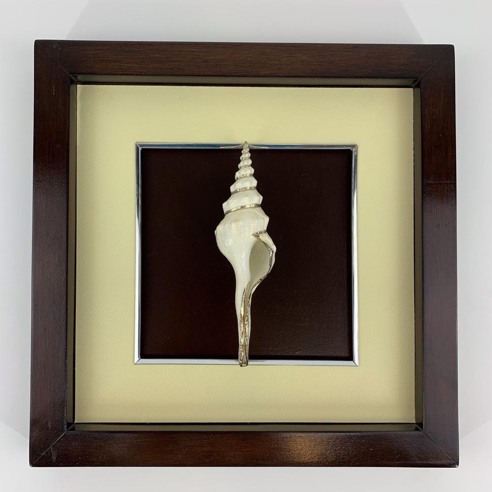 Wood Framed 3-D Spindle Shell Wall Decor